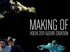 Voeux 2011